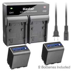 Kastar Battery AC Rapid Charger for Sony NP-QM91D & Sony Cyber-shot DSC-F707