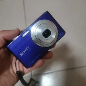 Sony Cyber Shot DSC-W610 Digital Camera 4.0x Optical Zoom 14.1MP Face Detection