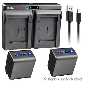 Kastar Battery Dual USB Charger for Sony NP-QM91D & Sony Cyber-shot DSC-F707