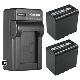 Kastar AG-VBR89G Battery AC Wall Charger for Panasonic Lumix BGH1 Cinema Camera
