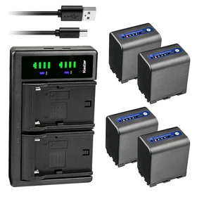 Kastar Battery LTD2 USB Charger for Sony NP-QM91D Sony DCR-PC115 DCR-PC6 DSC-S75
