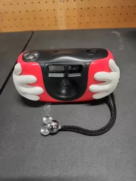 40121524 DISNEY Internet Famous Mickey Butthole Camera Point #2