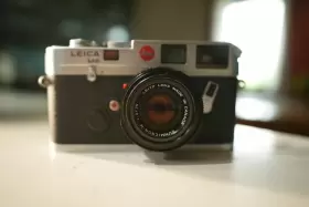 10434 LEICA Summicron King Bokeh Tiger Claw #3
