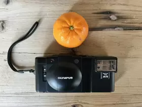 5268584 OLYMPUS Film Camera Flash Frm