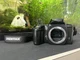 Pentax PZ-20 SLR 35mm Film Camera READ