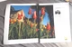 2003 print ad-New Nikon N75 Single-Lens-Reflex 35mm (SLR) camera and features