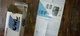 Canon Sure Shot OWL DATE PRIMA AF-8 Point and Shoot Camera CZ2-2671 MANUAL &Box