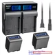 Kastar Battery LCD Rapid Charger for Sony NP-QM91D & Sony Cyber-shot DSC-F707