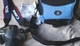 Canon Rebel 3000N EOS 66/66 Rebel XSN Camera with Shoulder owners manual an CASE