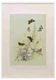 Humphreys Henry Butterflies 1860 Blues & Argus A3 A4 Framed Print Picture