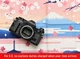 **Top MINT in Wodden Box** Canon AE-1 Program Black 35mm Film SLR Camera JAPAN