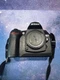 Nikon D70 Digital SLR Camera (Body Only)