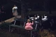Kodak 35mm Slide 1950s Red Border Kodachrome Girl in Pink Watching Swans