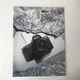 ์Nikon N8008S Camera Photography Brochure Catalog Booklet