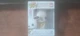 Sanrio Hello Kitty and Friends Funko Bitty Pop! Mini Figure Pochacco Normal
