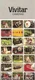 Camera Brochure - Vivitar - TEC45 PS:35 PS:30 EF35 - c1985 (CB110)