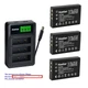 Kastar Battery Triple Charger for Ricoh Caplio 300G 400G 500G RX Camera