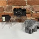 Mamiya Auto CS 1000 MXB 35mm Sears  Camera SEKOR SX FG LENS 50MM JAPAN