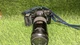 Minolta Maxxum 7000 AF Film Camera + Soligor Zoom & Macro 75-200mm Lens Tested 