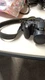 Nikon COOLPIX L810 Bridge Camera Black 26x Optical Zoom Lens-shift VR 3.0" LCD