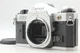 Meter Works !!【 Exc+5 】 Canon AE-1 AE1 PROGRAM Silver SLR Film Camera From JAPAN