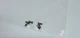 Genuine Sony Cyber-shot DSC-W650 Body screws set Kit part