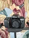 Nikon N70 SLR Film Camera Body Only Untested - No Batteries