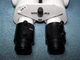 Wild/Leica  0-180deg binocular with 10X eyepieces