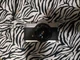 Yashica TL Super Film SLR 35mm Camera w/Case 1:1.7 50mm Lens Vintage Photography