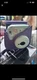FUJIFILM Instax Mini 9 Ice Blue Instant Film Camera