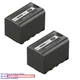 Kastar Replacement Battery Pack for Panasonic LUMIX BGH1 Cinema 4K Box Camera