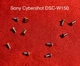 Body Screws (11pcs) For Sony DSC-W150 Digital Camera - Repair Parts