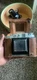 Vintage MAMIYA SIX III RARE!  camera with  lens 1:4.5 f= 7.5 cm