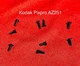 Body Screws (9pcs) For Kodak Pixpro AZ251 Digital Camera