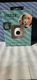 NEW Fujifilm Instax Pal Digital Camera Milky White 0798 Bluetooth Transfer NEW