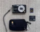 Panasonic Lumix DMC-FH25 16.1MP 8x Zoom Digital Camera + 2GB SD + Battery + Case