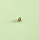 Rolleiflex TLR Camera's Door Lock Pin For 2.8F, 3.5F, Etc Genuine Rollei Parts