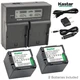 LCD Dual Charger & 2 Battery Panasonic CGR-DU14 PV-GS150 PV-GS180 PV-GS200 GS250
