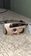 Unisex DS Max HC 2000 Film Camera One Size Gold Black