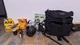 Canon EOS Rebel 2000 Film Camera Kit + Lens + Bag + Film (Complete Set)
