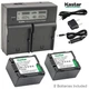 LCD Dual Charger & 2 Battery Panasonic CGR-DU07 PV-GS150 PV-GS180 PV-GS200 GS250