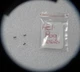 Canon AE-1 Program camera Body Screw - Canon BOTTOM BASE PLATE SCREWS ( 3 screws