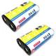 2x Battery For Olympus Camedia C-960 C-990 C-2040 C-2100 C-2100UZ C-3000 C-3020