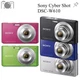 Sony Cyber Shot DSC-W610 Digital Camera 4.0x Optical Zoom 14.1MP Face Detection